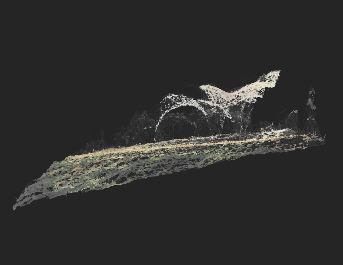 Photogrammetry mesh of Confluence Park, San Antonio, showing fragmented topography and canopy structure.