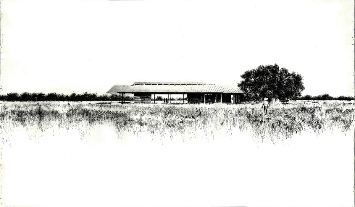 Charcoal and watercolor drawing of Lake Flato's Josey Pavilion in a grassy field with a tree.